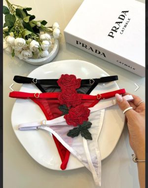 Tanga tule rosa bordado